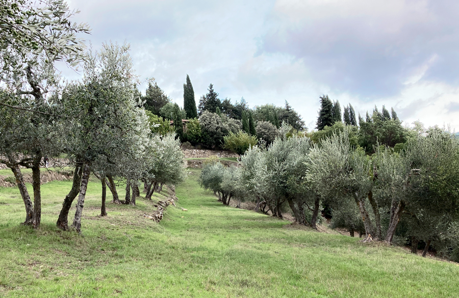 Pierattelli Architetture - Boutique Hotel - Boutique Hotel Chianti - studio architettura Firenze